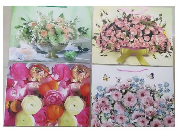 Пакет подарунковий паперовий XL Natura 59x44x17см