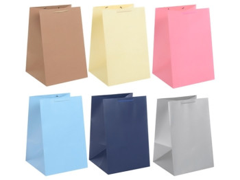 Пакет подарочный бумажный M17 Colorato 28x42x28см