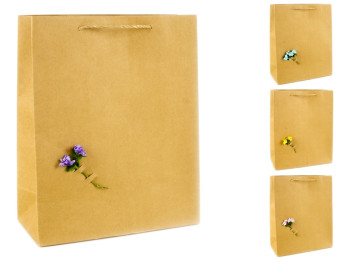 Пакет подарочный бумажный "Craft flower" 32x26x12см