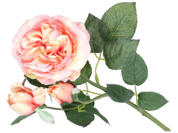 Декоративная ветвь цветов Английской розы, 50см, цвет – персиково-розовый