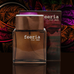 Туалетная вода муж. "Feeria for men" (Calvin Klein "Euphoria Men") 100мл