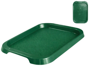 Поднос Консенсус, пластик, 57×39см, цвет зеленый