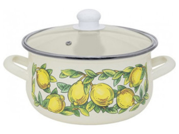 Кастрюля эмалированная со стеклянной крышкой Infinity Lemon D22см 4,8л REN-8826 51397