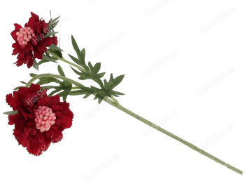 Декоративна квітка