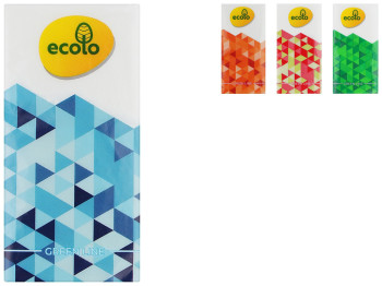 Хустинки носові Ruta Ecolo 9шт, 2х шарові, без аромату (ціна за пачку 9 хусточок)