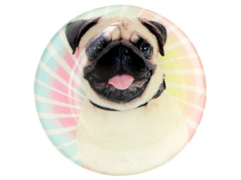 Держатель для телефона PopSocket Circle, Pug 06