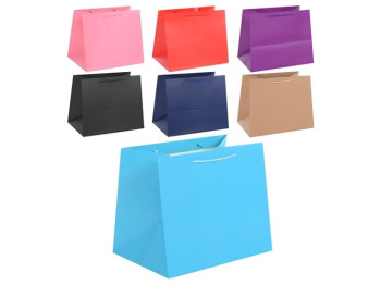Пакет подарунковий паперовий L16 Colorato 31x37x26см