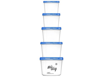 Набор круглых емкостей 200мл, 300мл, 500мл, 700мл, 1л (цена за набор 5шт) синяя крышка