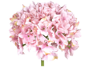 Гортензия розовая премиум, 54см