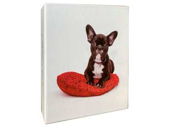 Фотоальбом EVG DOG, 10x15x200, 6900068828452