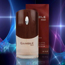 Туалетная вода муж. "Gamble red" (Givenchy "Givenchy pour Homme") 100мл