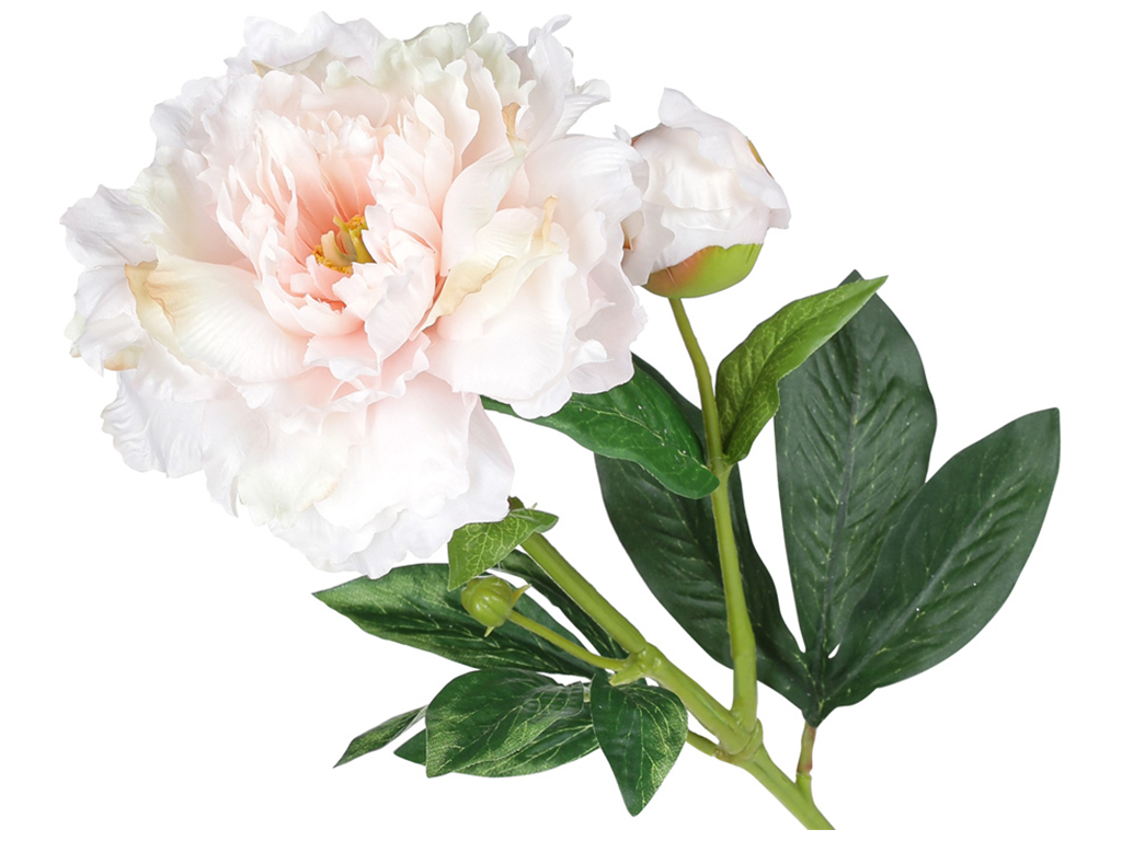 Півонія з бутоном, 59см, колір - білий крем