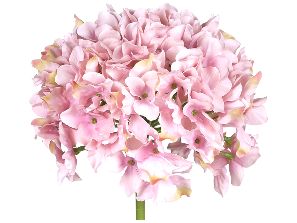 Гортензия розовая премиум, 54см