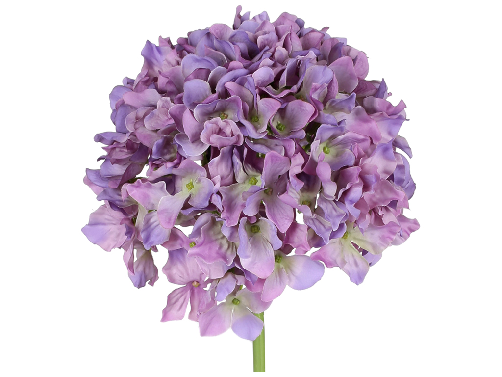 Гортензія лілова преміум, 54см