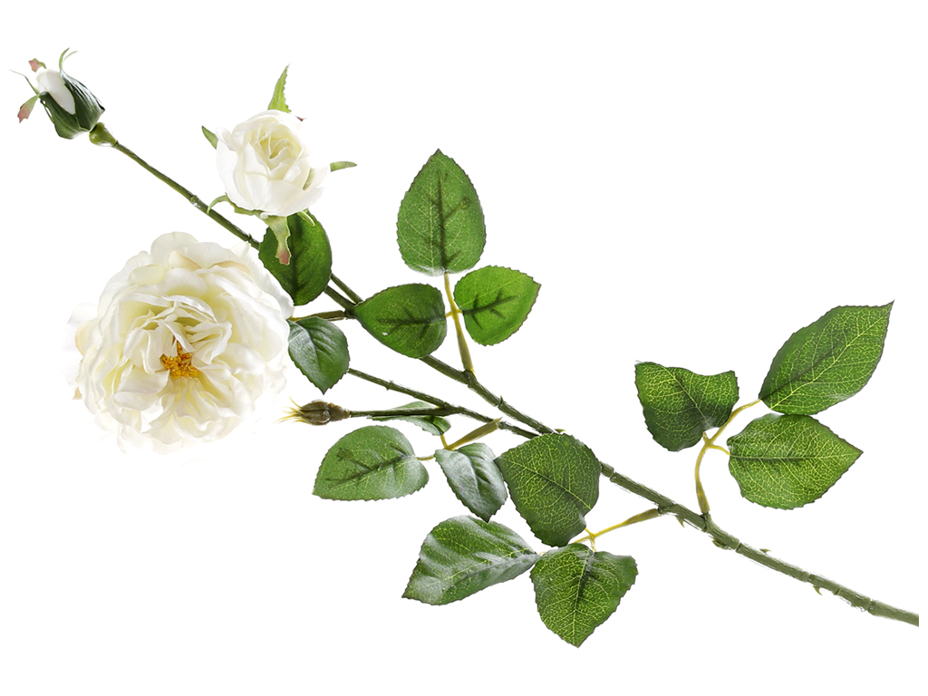 Декоративная ветвь цветов Английской розы, 58см, цвет – белый