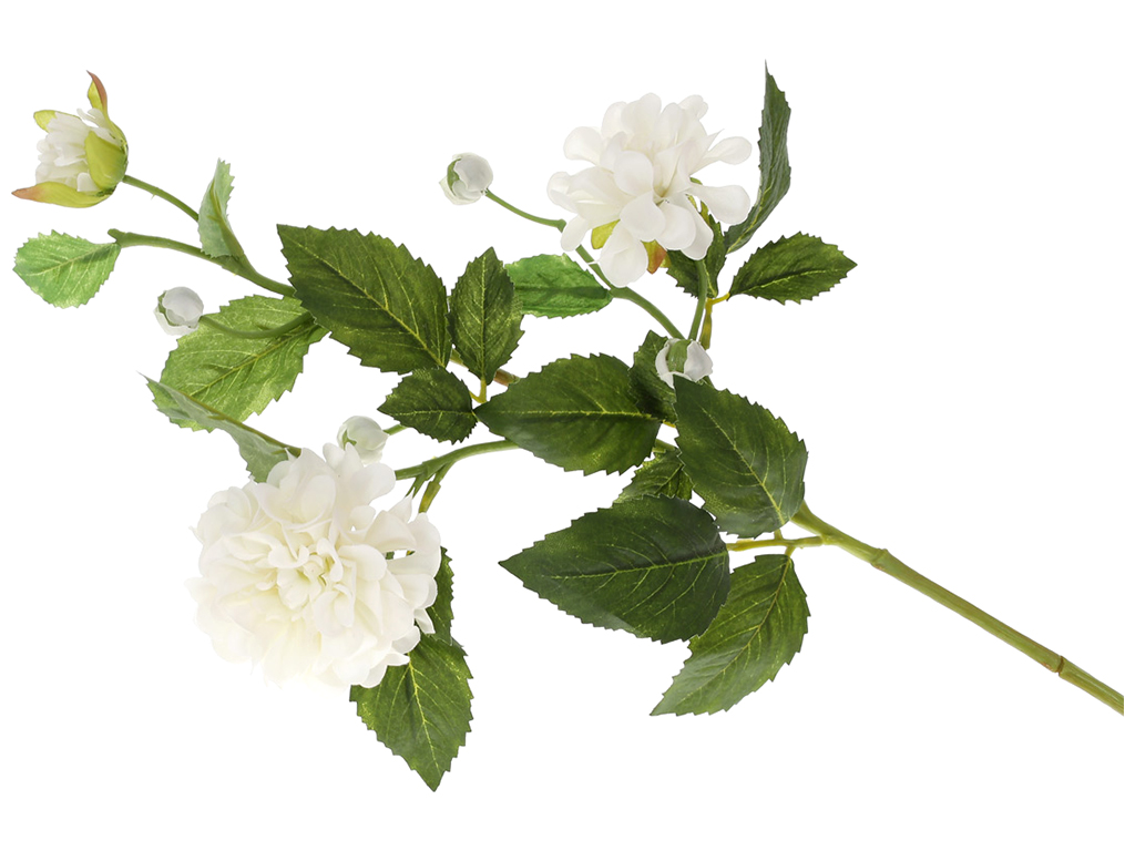 Жоржина гілка 2 квітки з бутонами, 68см, колір – молочно-білий