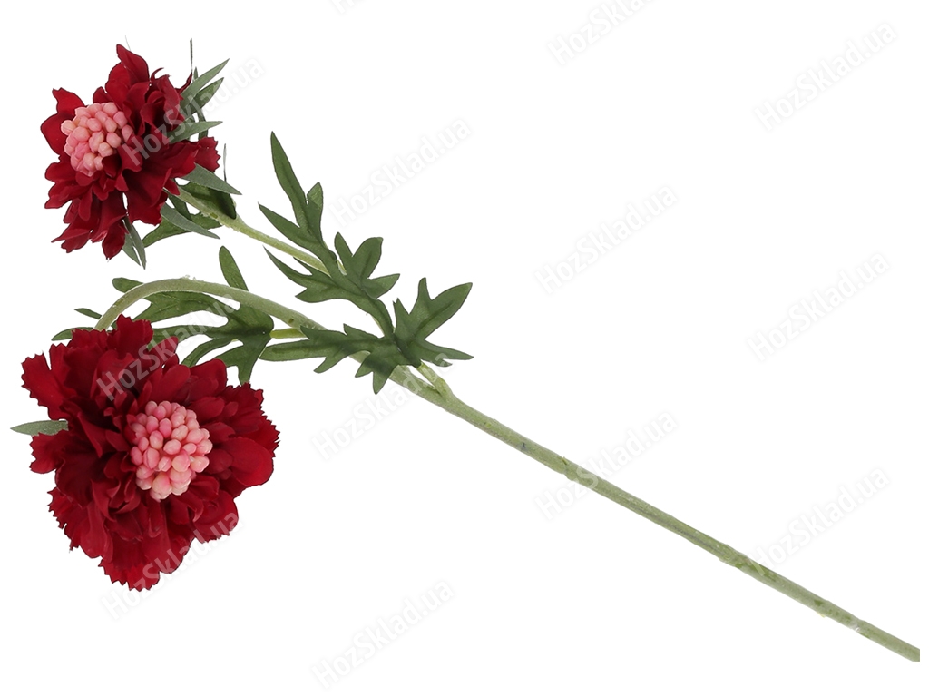 Декоративна квітка