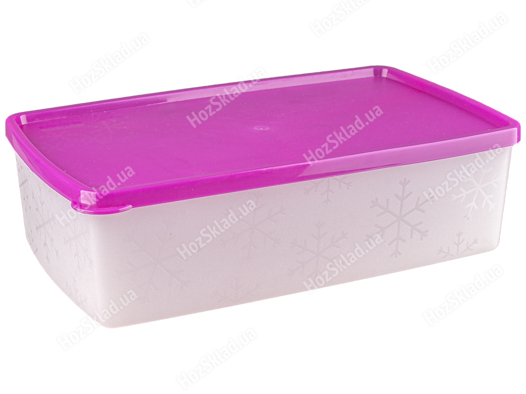 Контейнер Ал-Пластик Arctic box універсальний для заморозки (безбарвний) 1,3л