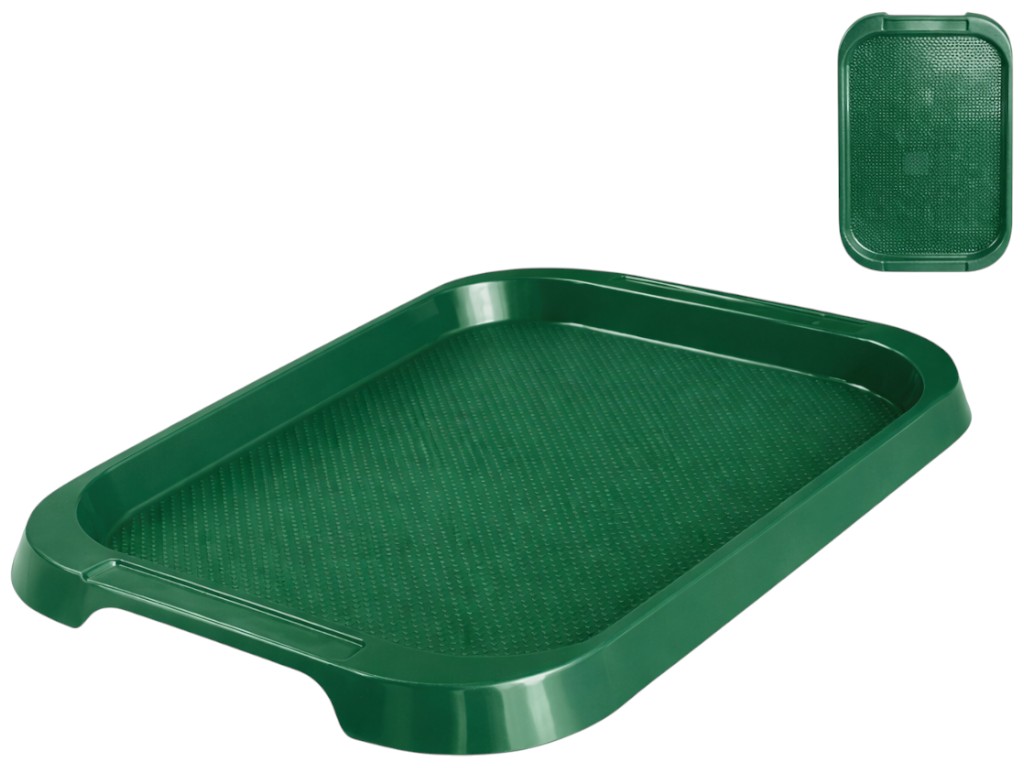 Поднос Консенсус, пластик, 57×39см, цвет зеленый