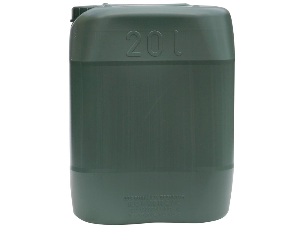 Канистра техническая Консенсус, пластик, 20л, 29×23×38см, цвет зеленый