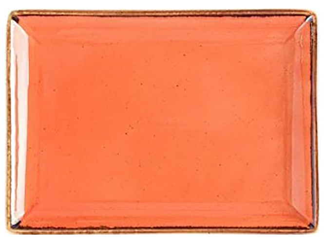 Блюдо для подачи Porland Orange, 18х13см
