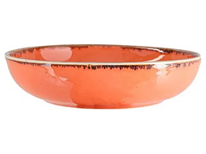 Салатник Porland Orange, 415мл, 16см