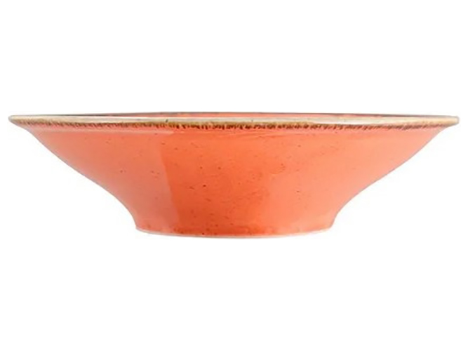 Салатник Porland Orange, 25см