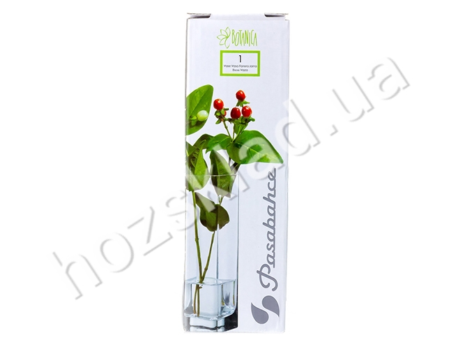Ваза скляна 1шт Pasabahce Botanica для квітів 5,5х5,5х18см