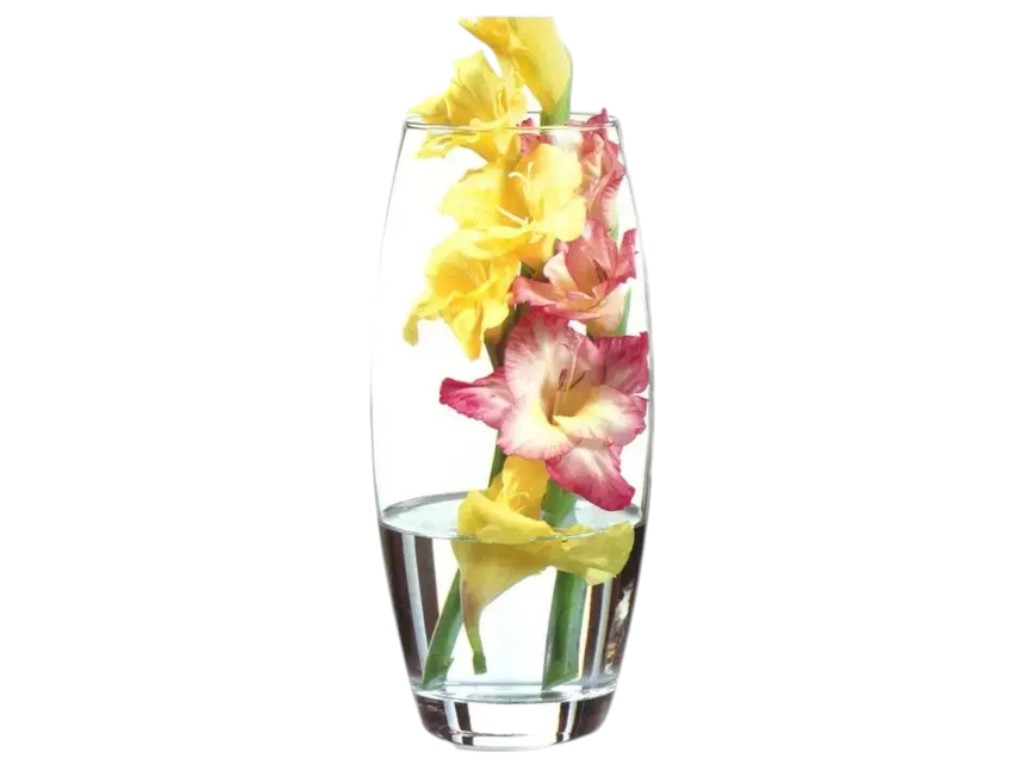 Ваза скляна 1шт Pasabahce Botanica для квітів 11х11х26см