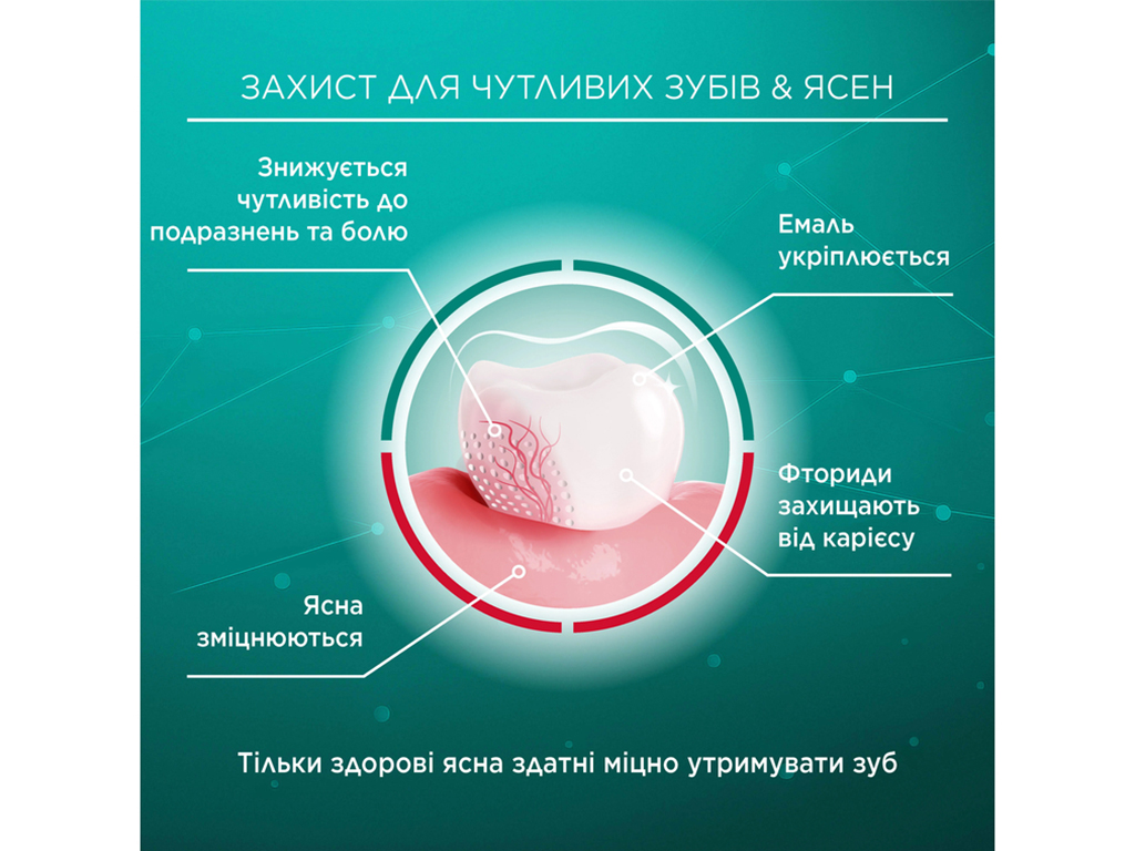 Паста зубна Lacalut Sensitive, зниження чутливості, захист емалі та очищення, 75мл