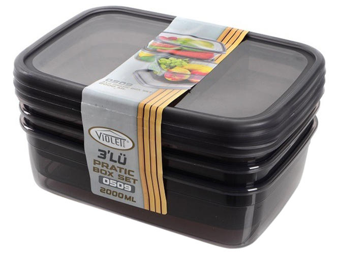 Набір контейнерів Violet House 0509 Transparent Black, 2л (ціна за набір 3шт) 8690070142681