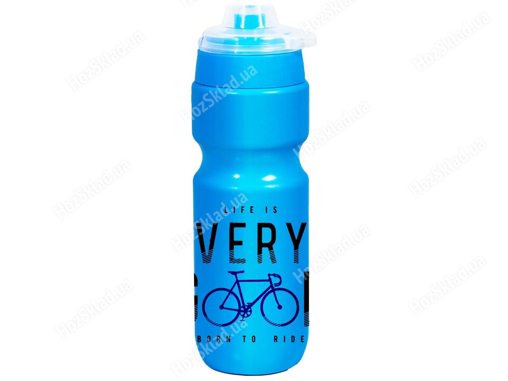 Пляшка для води Herevin Colourful Footballer пластикова, 660мл (колір блакитний) 8690069650142