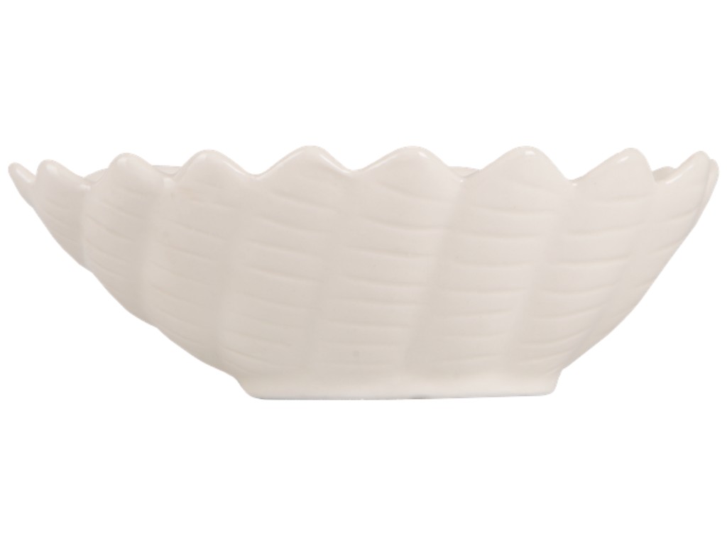 Блюдо Led Shell Shell, овальное, фарфор, 13×10×4см, цвет белый
