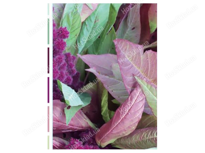 Фотоальбом EVG Foliage, 10x15x200, 6900067920973