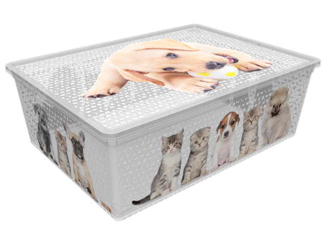 Контейнер для хранения с крышкой Qutu Light Box Cats and Dogs, 25л