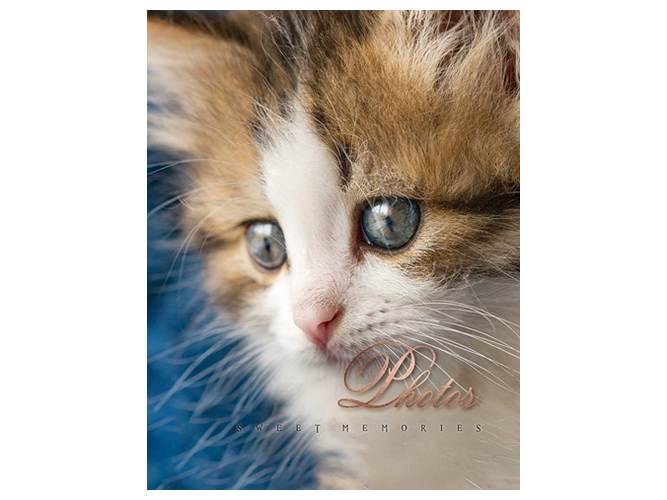 Фотоальбом UFO Cat photo, 10x15см, на 200 фотографій, 6900070619499