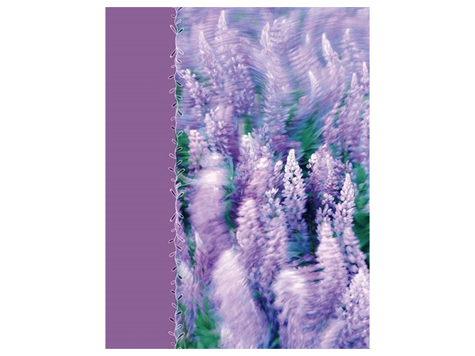 Фотоальбом UFO Lavenders, 10x15см, на 200 фотографій, 6900070619277