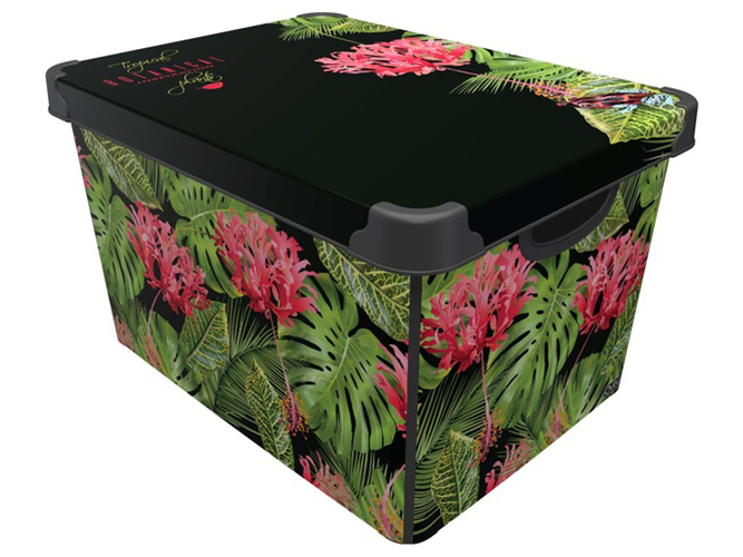 Коробка с крышкой Qutu Style Box Botanic, 20л