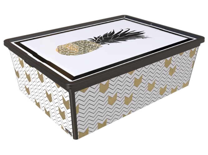 Контейнер з кришкою Qutu Trend Box Pineapple Life, 25л, 8695737109717