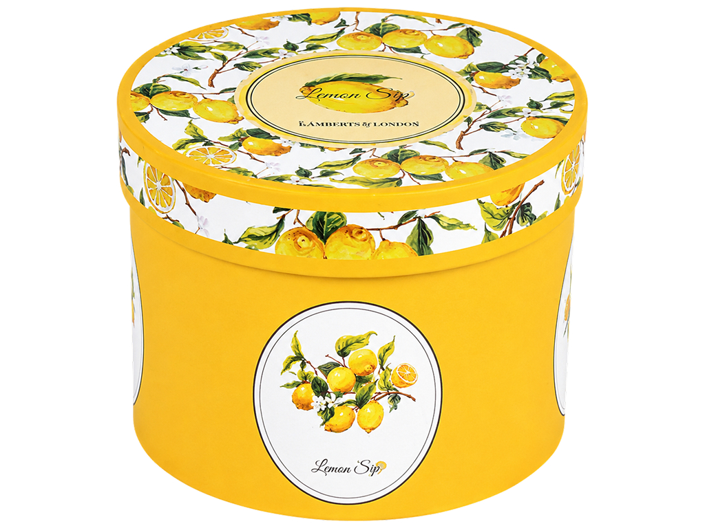 Чашка порцелянова Lemon Sky, з лимонним декором, у подарунковій коробці, 320 мл