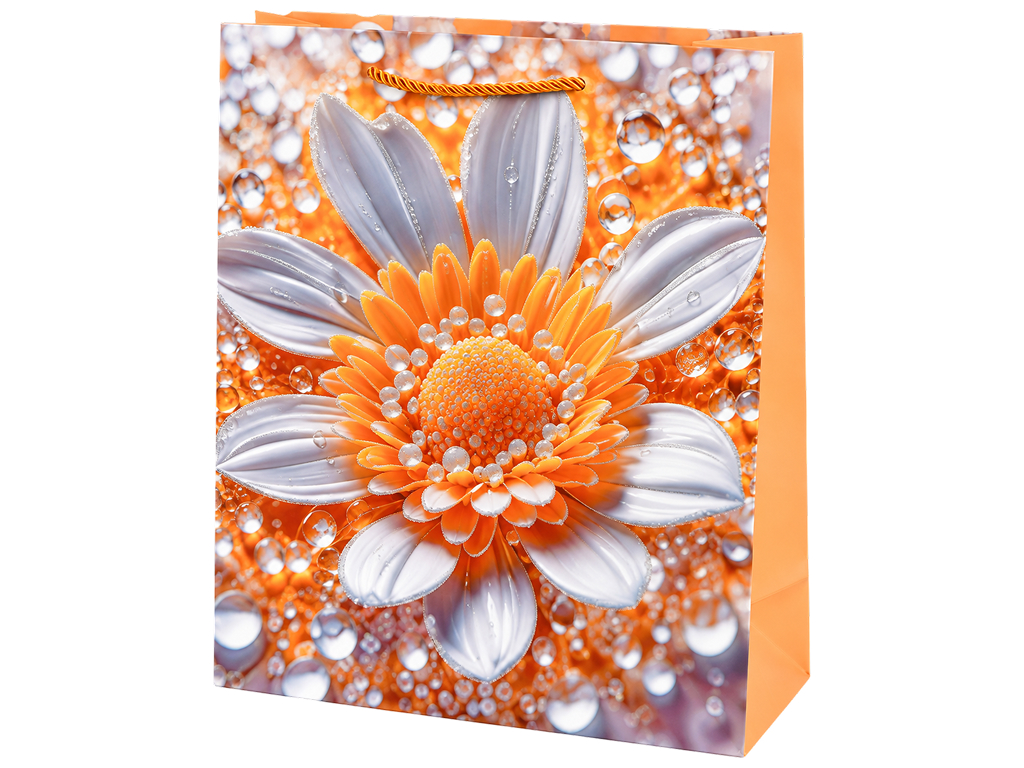 Пакет подарунковий паперовий Camomile L, з ручками, 30×41,5×12 см, 4 дизайни (ціна за 1шт)