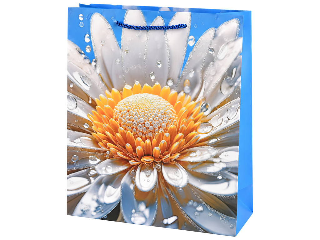 Пакет подарунковий паперовий Camomile L, з ручками, 30×41,5×12 см, 4 дизайни (ціна за 1шт)