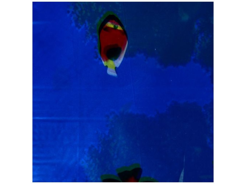 Штора для ванной, EВА, 180×180см (цена за 1шт)