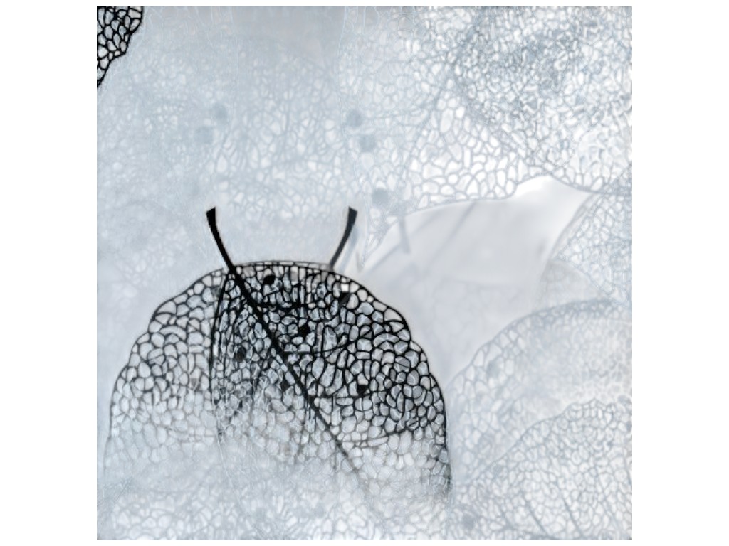 Штора для ванной, EВА, 180×180см (цена за 1шт)