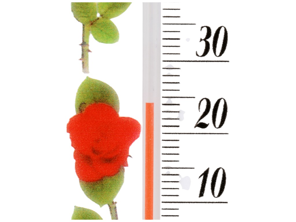 Термометр оконный, пластик, термометрическая жидкость, 19,5см, цвет белый