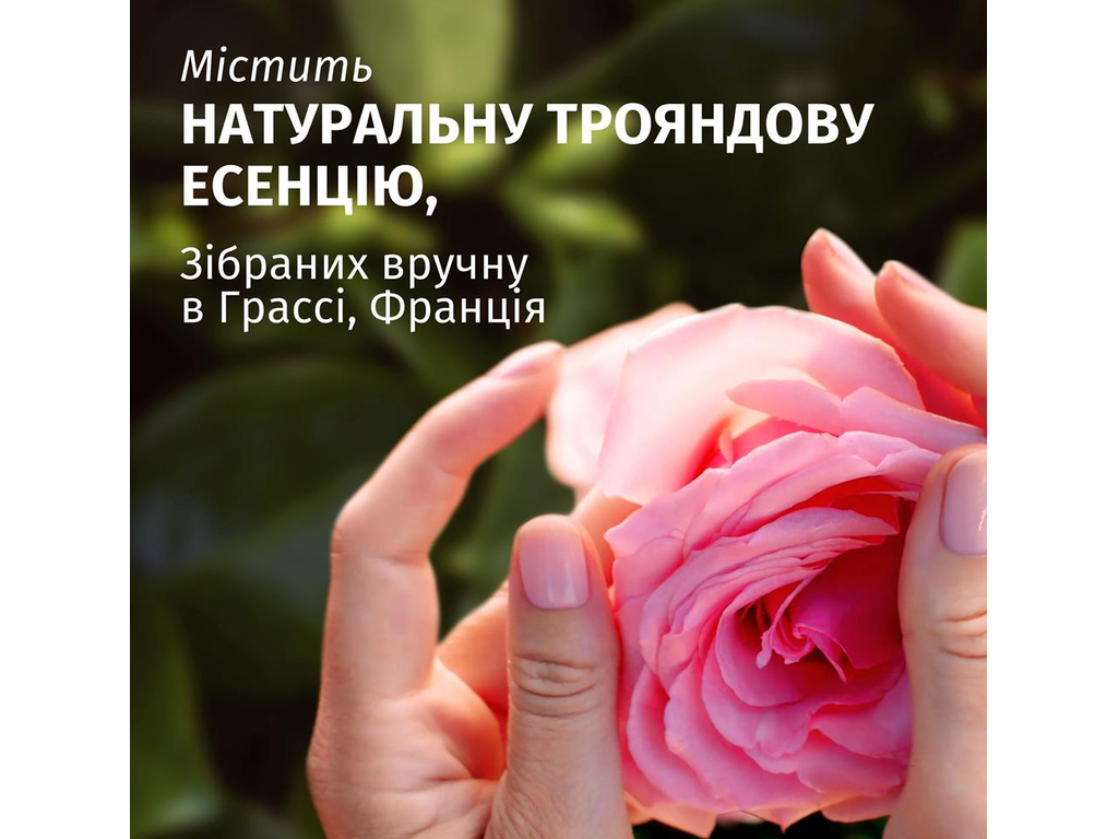 Шампунь Herbal Essences Rose Scent Petal Soft, пом'якшувальний, з ароматом троянди, 350мл