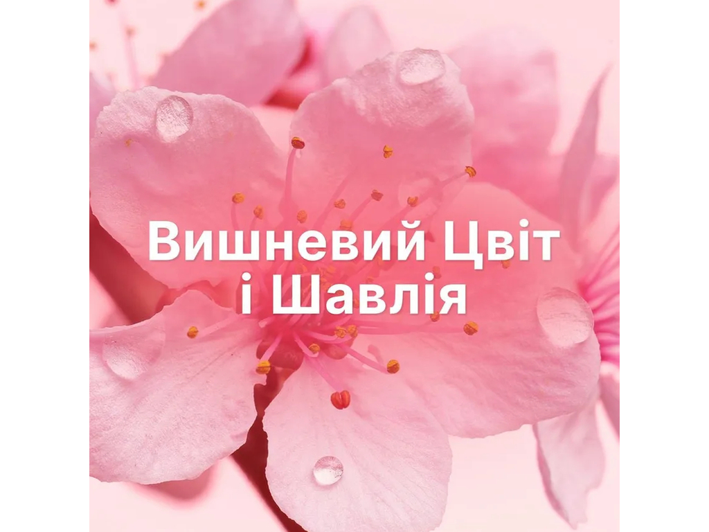 Кондиционер для белья Lenor Вишневый цвет и шалфей, 59 циклов, 1,239л