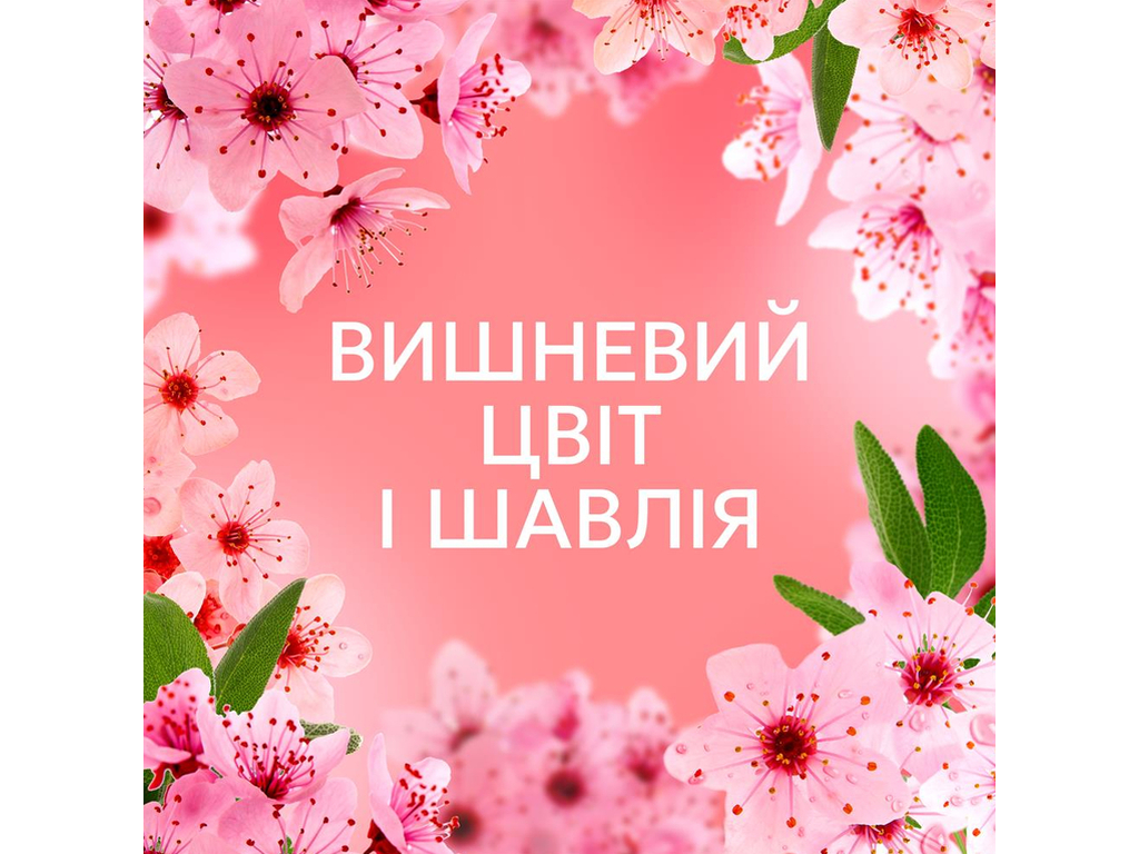 Кондиционер для белья Lenor Вишневый цвет и шалфей, 32 цикла, 675мл