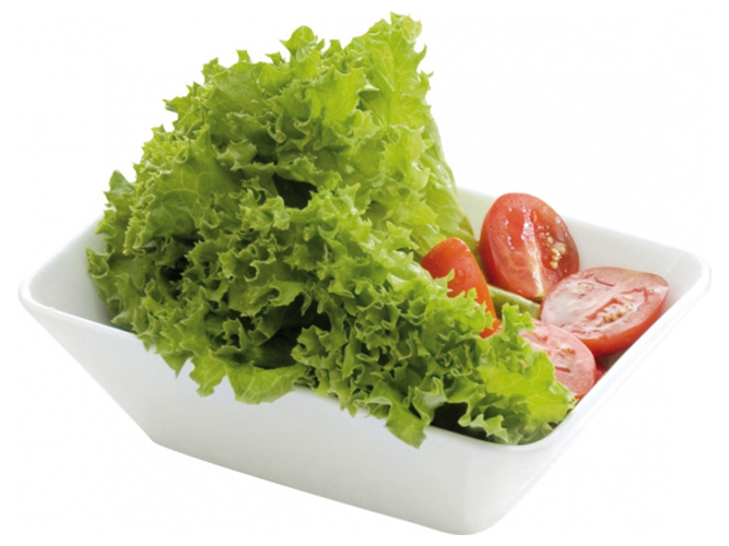 Миска салатна GUSTITO 17х12см 24089