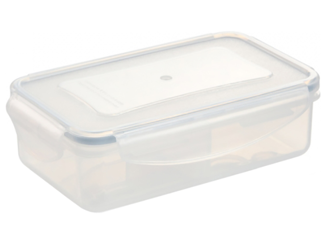 Контейнер с отсеками Freshbox, прямоугольный, 500мл, 21094